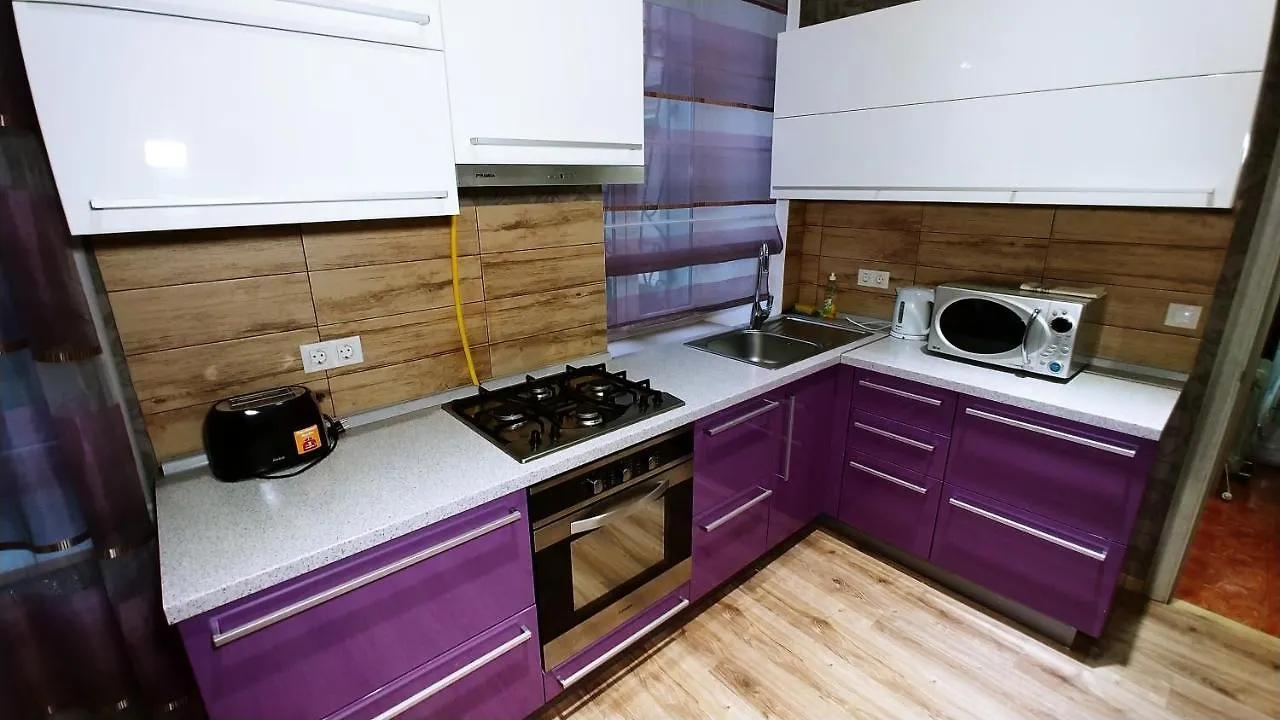 One Bedroom. 6 Zankovetskoi St. Near A Khreschatyk Kyiv 0*,  Ukraine